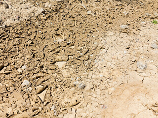 texture of dried cracked surface layer of the earth