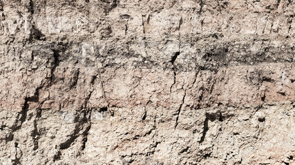 texture of dried cracked surface layer of the earth