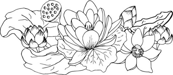 Abwaschbare Fototapete Composition of Lotus flowers. Vector. Beautiful picture with flowers. © Ксения Белимова