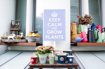 Moscow, Russia, September 2019: Composition of flowers in multicolored ceramic pots, figures of rabbits, pumpkins, lots of bright watering cans and a lilac poster: Keep calm and grow plants