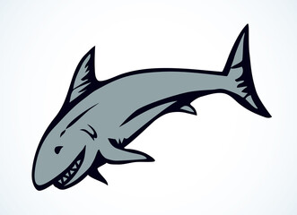 Great gray shark. Vector drawing