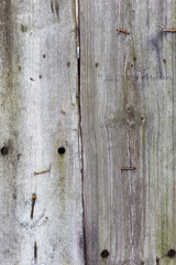 Authentic background of wooden surface as background