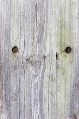 Authentic background of wooden surface as background