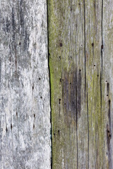 Authentic background of wooden surface as background