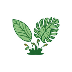vector illustration of tropical green plant