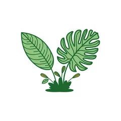 Velours gordijnen Monstera vector illustration of tropical green plant
