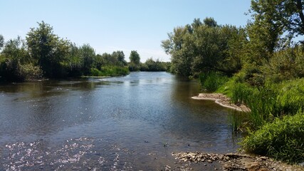 Rzeka Nida niedaleko miasta Pińczów