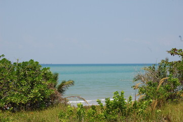 熱帯の日常的な何気ない樹木の豊かな海岸線と青い海