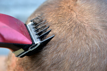 Naklejka premium Cutting the hair of a man's head with an electric machine