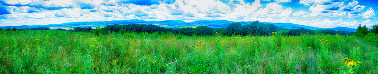 Fototapeta premium Lush meadow of lush grass, on the slope of the mountains