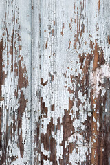 Obraz premium Authentic background of wooden surface as background