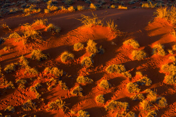 Namib-Naukluft National Park, Namibia, Africa