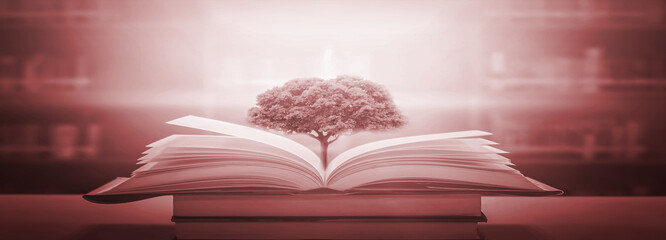 The concept of education by planting a tree of knowledge in the opening of an old book in the...
