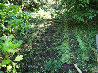 Obraz premium 鎌倉 妙法寺の苔の階段