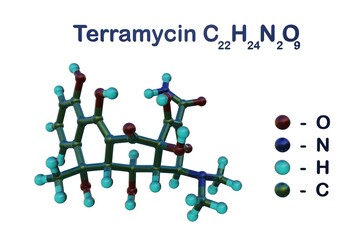 Structural chemical formula and molecular model of terramycin or oxytetracycline, a broad spectrum antibiotic used for treatment of bacterial infections. 3d illustration