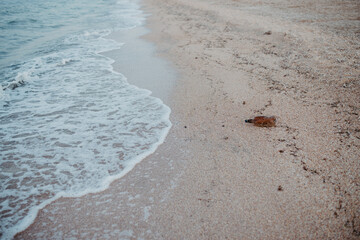 Discarded plastic pet bottle lying on the shoreline causing environmental plastic pollution , Garbage on the beach