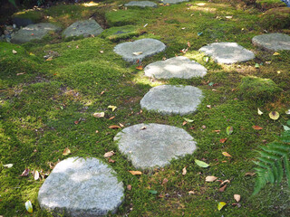 鎌倉　杉本寺の苔むした庭