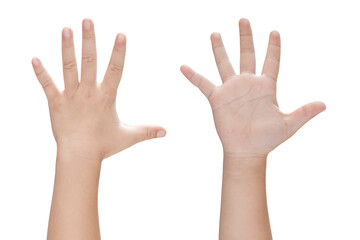 Child hand shows five fingers isolated on white background with clipping path.