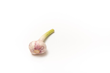 garlic with a stem on a white isolated background with copy space