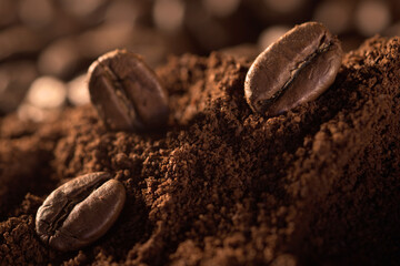 Coffee beans on a pile of finely ground coffee.