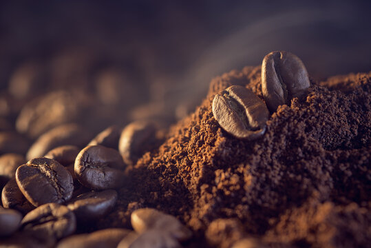 Coffee beans on a pile of finely ground coffee.
