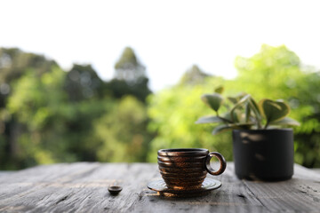 sugar palm cup an plant on wooden table