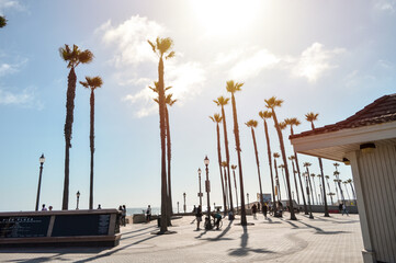 Palm trees in Huntington Beach, California
