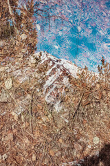 Reflection of sky and mountains in leaves and earth