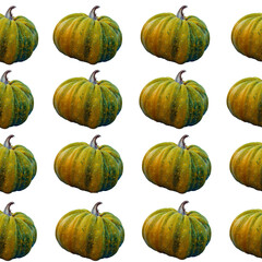 Seamless pattern with yellow-green pumpkin close-up isolated on white background. Harvest, Halloween.