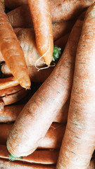 orange with fresh carrots © Paulina