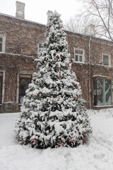 Winter landscape, snowfall. Fir branches covered with hoar frost Wonderland. New year. Calm blurry snow flakes winter background.