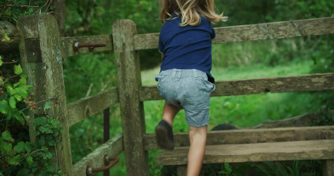 Preschooler climbing a fence in the woods on a summer day