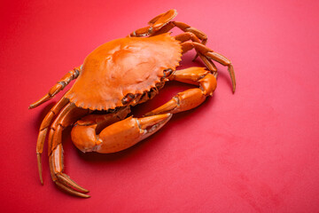 A cooked red sturgeon crab on a red background