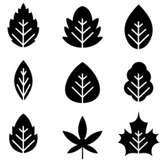 Obraz premium Leaf icon, logo isolated on white background