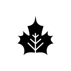 Leaf icon, logo isolated on white background