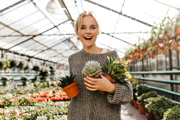 Portrait of curly woman in gray sweater holding lot of potted plants. Green-eyed blonde with smile...