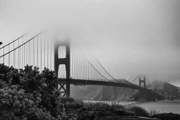 San Francisco día nublado
