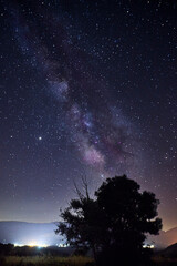 The Milky Way galaxy in vertical on the top of a tree and a town