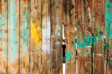 Texture of weathered wooden wall. Falling snow, in winter. Aged wooden plank fence of vertical flat boards
