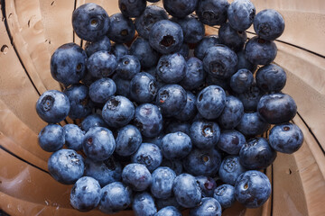 Fresh blueberries with dewdrops. Culinary background