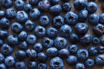 Fresh blueberries with dewdrops. Culinary background