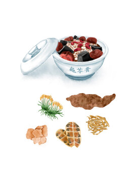 Watercolor Illustration of Chinese Snack - Tortoise Jelly, with its ingredients: honeysuckle, rehmannia, China roots, tortoise plastron, and honeysuckle | 龟苓膏
