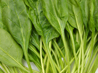 Fresh leaves of spinach