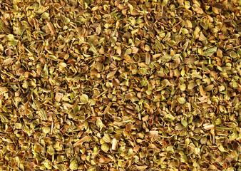 healthy oregano spice on a white background
