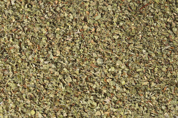 healthy oregano spice on a white background