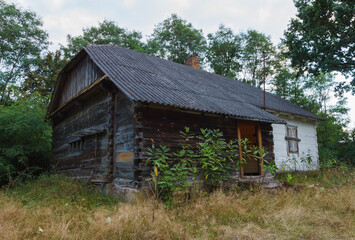 Fototapeta na wymiar Abandoned old wooden house among the green trees and tall grass. Rural landscape. Evening