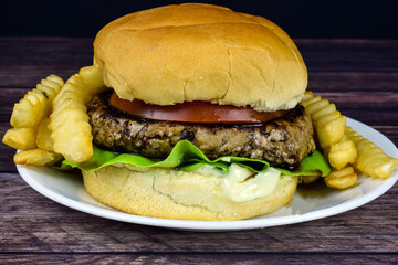 turkey burger with fries