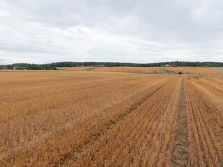 Waved cultivated row field. Rustic autumn landscape in brown tones