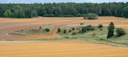 Obraz premium Waved cultivated row field. Rustic autumn landscape in brown tones