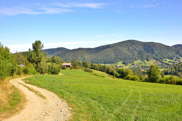 Fototapeta na wymiar Mountains summer landscape. Dirt road through the green fields and forest on a blue sky with white clouds